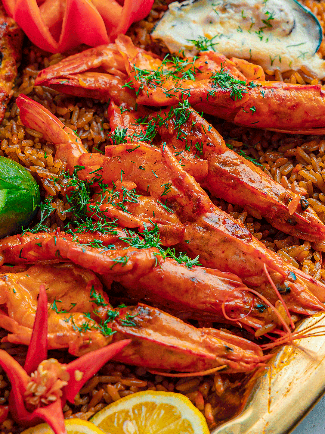 Beat El Acmak Photography - Image 10