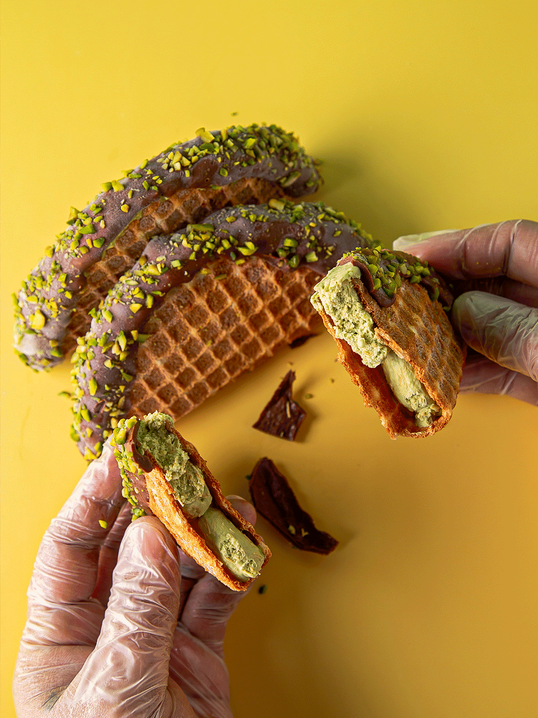 Gioia Photography - Image 10