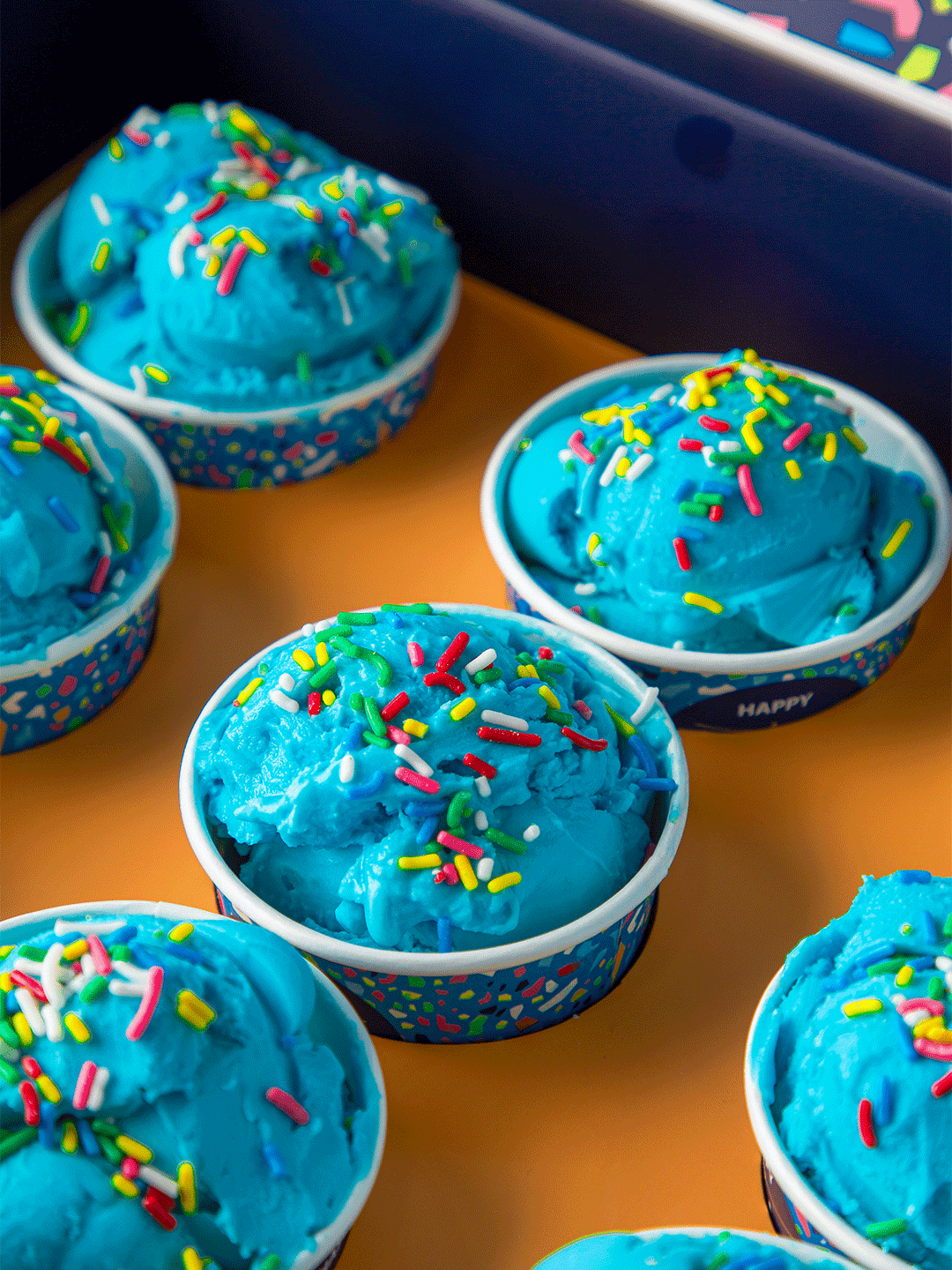 Gioia Photography - Image 2