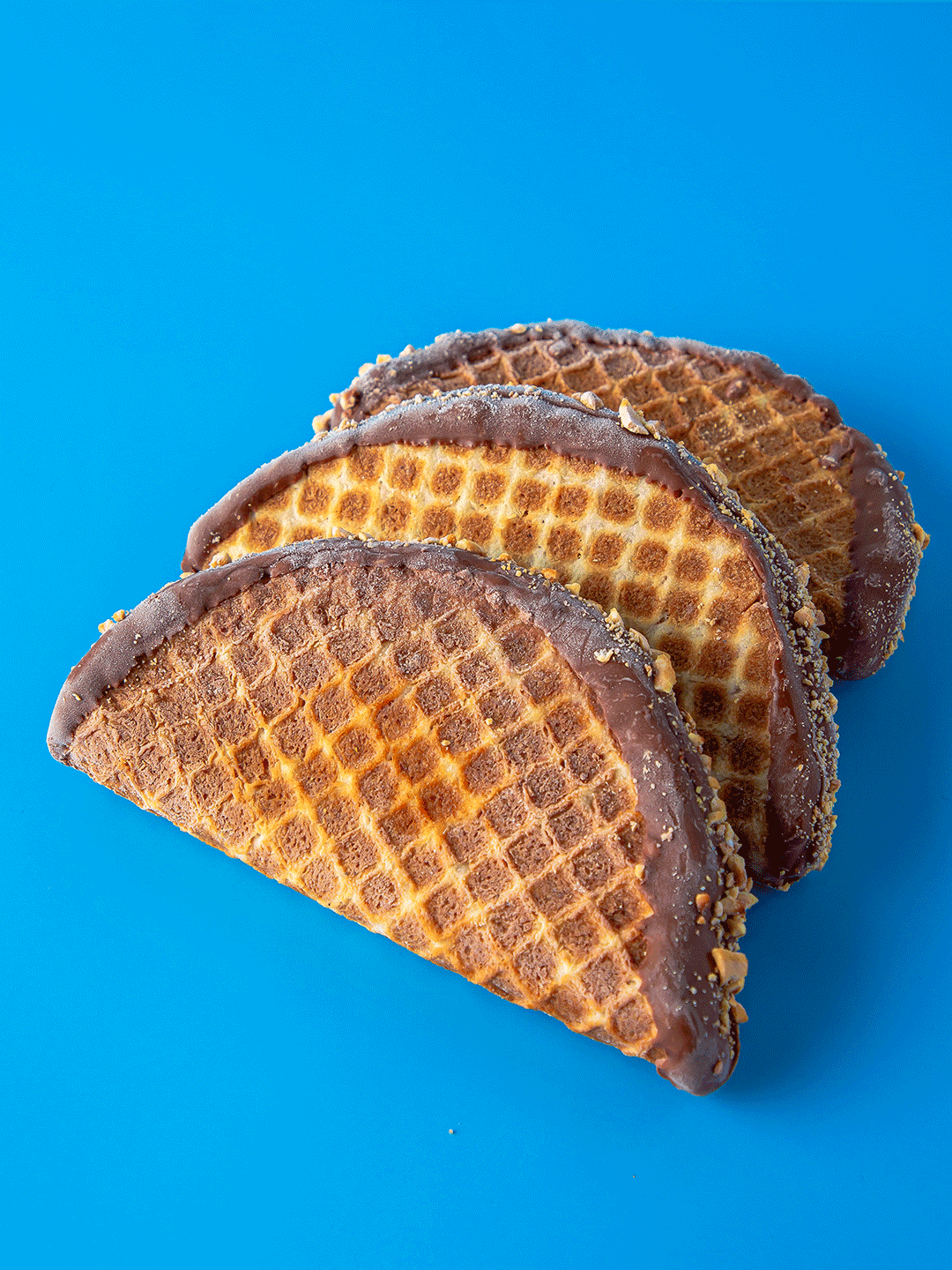 Gioia Photography - Image 5