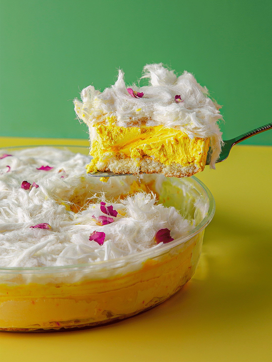 Gioia Photography - Image 7