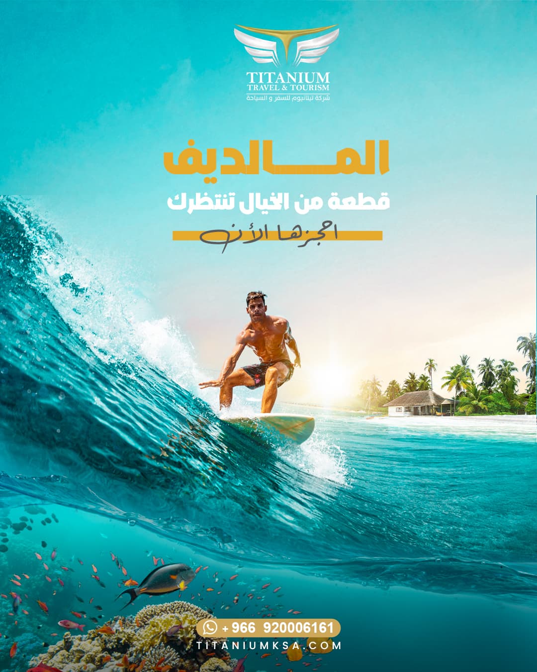 Titanium Social Media - Image 9