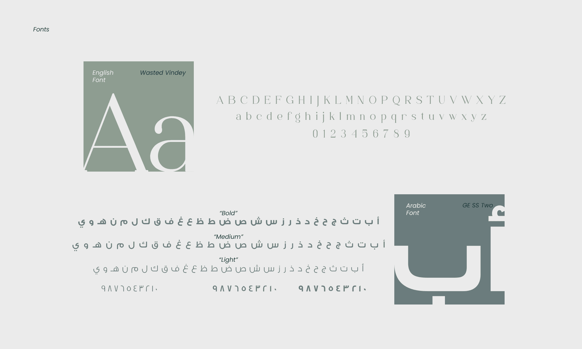 Rava Brand Identity - Image 7